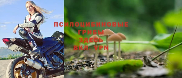 тгк Белокуриха