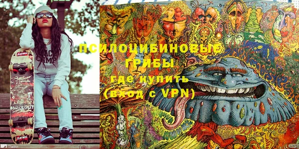 тгк Белокуриха