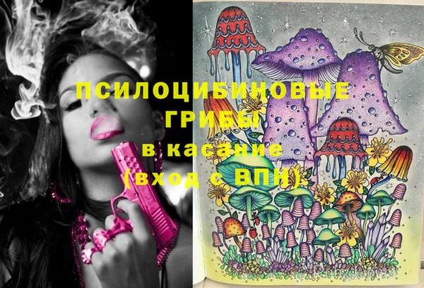 тгк Белокуриха