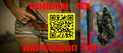 индика Лесосибирск