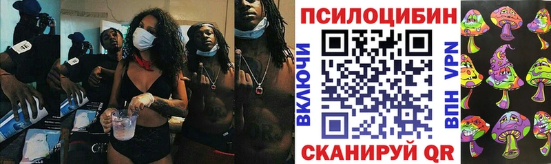 darknet Telegram  Гулькевичи  Псилоцибиновые грибы мухоморы  наркошоп 
