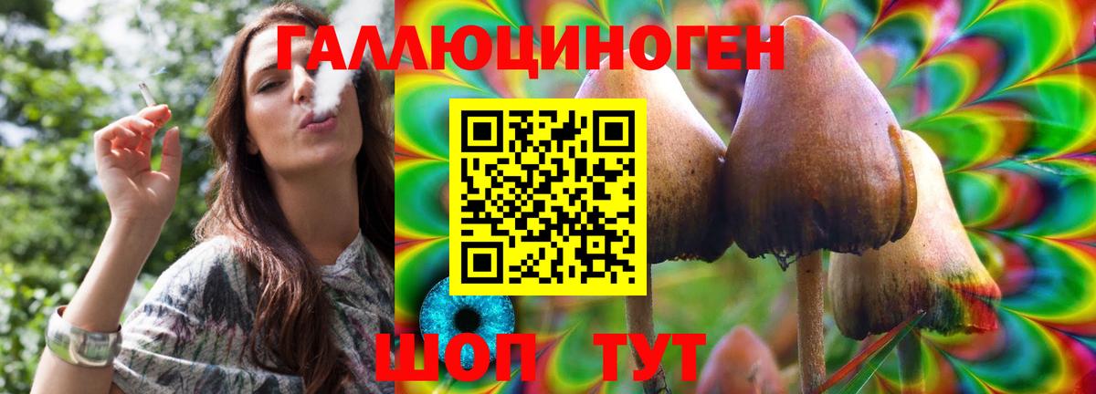 Гулькевичи  Псилоцибиновые грибы GOLDEN TEACHER  Вход с VPN 